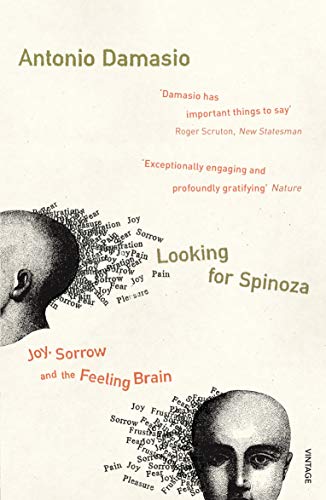 Beispielbild fr Looking for Spinoza zum Verkauf von More Than Words