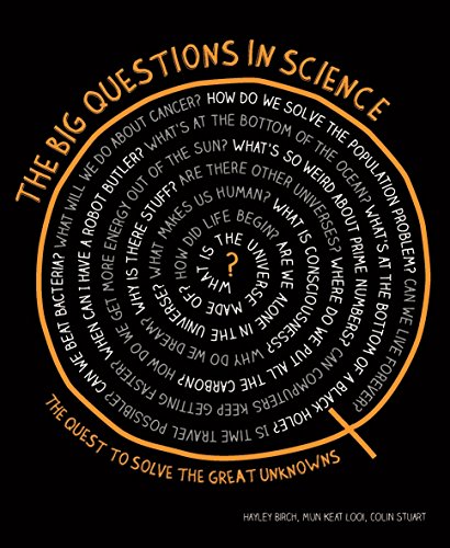 Beispielbild fr Big Questions In Science zum Verkauf von AwesomeBooks