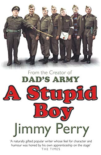 Stock image for A Stupid Boy for sale by AwesomeBooks