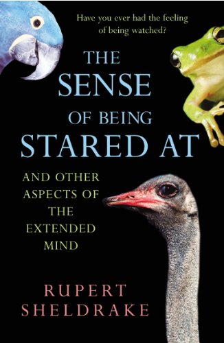 Beispielbild fr The Sense of Being Stared At zum Verkauf von Blackwell's