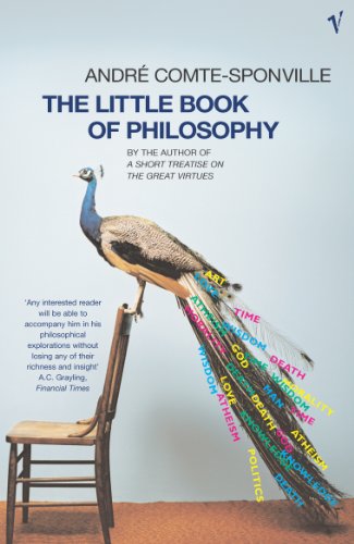 Beispielbild fr The Little Book of Philosophy zum Verkauf von SecondSale