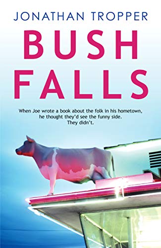 Imagen de archivo de Bush Falls a la venta por WorldofBooks