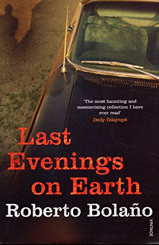 Stock image for Last Evenings on Earth for sale by Blackwell's