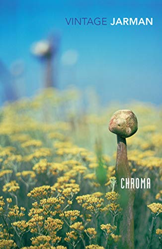 9780099474913: Chroma: A Book of Colour - June '93