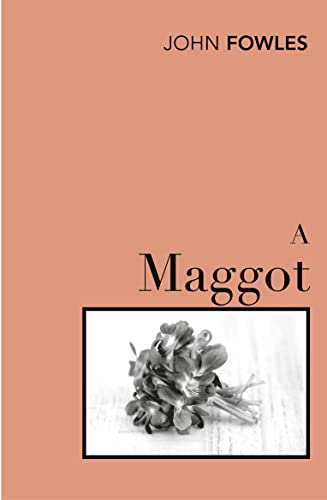 9780099480419: A Maggot