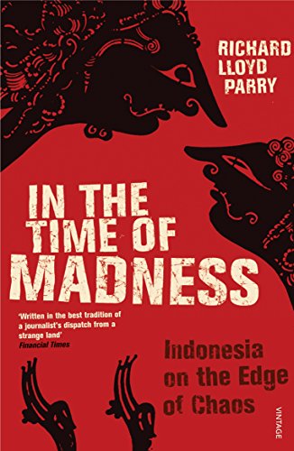 9780099481454: IN THE TIME OF MADNESS