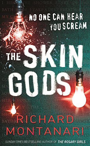 9780099486893: The Skin Gods: (Byrne & Balzano 2)