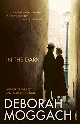 Beispielbild fr In the Dark zum Verkauf von WorldofBooks