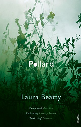 Stock image for Pollard for sale by WorldofBooks