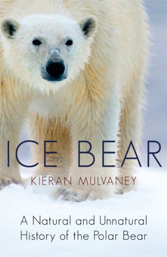 Beispielbild fr Ice Bear : A Natural and Unnatural History of the Polar Bear zum Verkauf von Better World Books Ltd