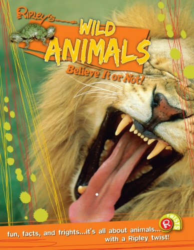 Imagen de archivo de Wild Animals (Ripley's Believe It or Not!) a la venta por WorldofBooks