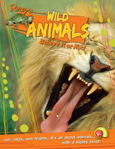 Stock image for Wild Animals (Ripley's Believe It or Not!) for sale by WorldofBooks