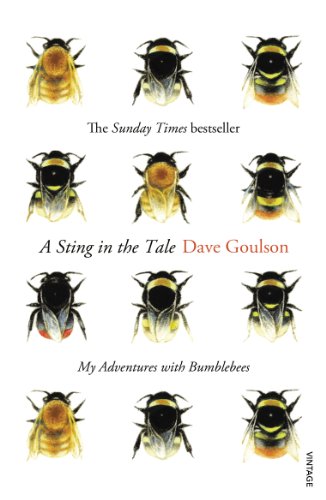 Stock image for A Sting in the Tale: My Adventures with Bumblebees for sale by WorldofBooks