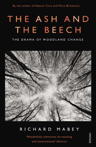 Beispielbild fr The Ash and The Beech: The Drama of Woodland Change zum Verkauf von WorldofBooks