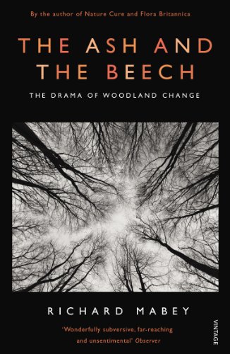 The Ash and The Beech : The Drama of Woodland Change - Richard Mabey