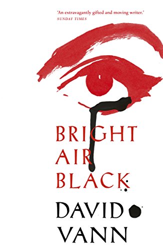 Stock image for Bright Air Black: Vann David for sale by WorldofBooks