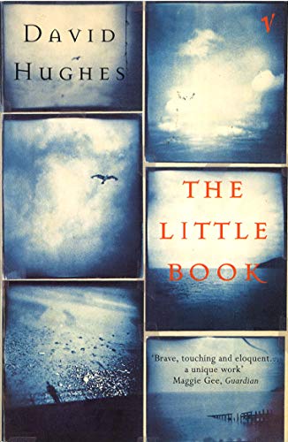 9780099593218: The Little Book