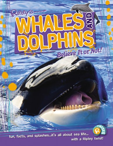 Stock image for Whales and Dolphins (Ripley's Believe It or Not!) for sale by AwesomeBooks