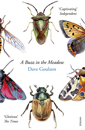 Beispielbild fr A Buzz in the Meadow: Dave Goulson zum Verkauf von WorldofBooks