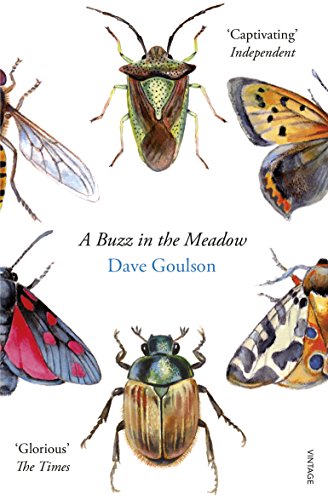 Imagen de archivo de A Buzz in the Meadow: Dave Goulson a la venta por WorldofBooks