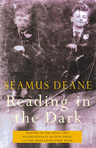Imagen de archivo de Reading in the Dark a la venta por WorldofBooks