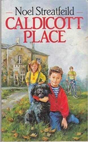 9780099751205: Caldicott Place (Middle fiction)