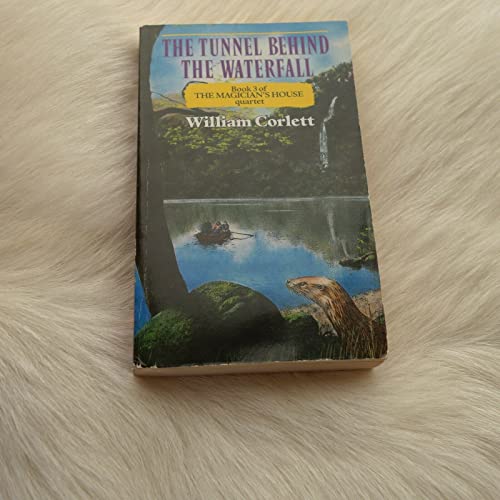 Imagen de archivo de The Tunnel: BEHIND THE WATERFA a la venta por ThriftBooks-Atlanta