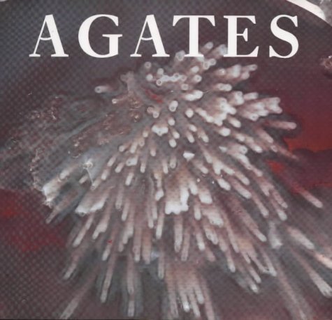 9780113100125: Agates (Earth)