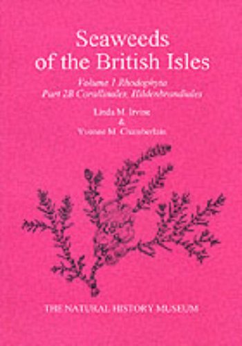 Stock image for Seaweeds of the British Isles: Part 2B Corallinales, Hildenbrandiales for sale by Phatpocket Limited