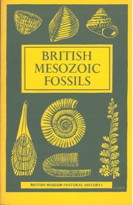Stock image for British Mesozoic Fossils (British Fossils) for sale by WorldofBooks