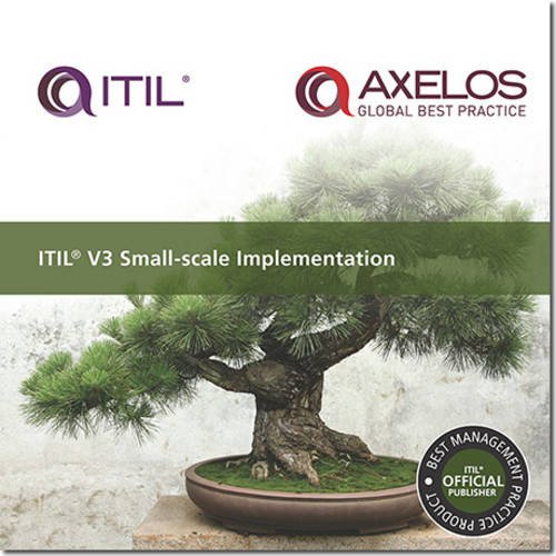 9780113310784: ITIL V3 small-scale implementation