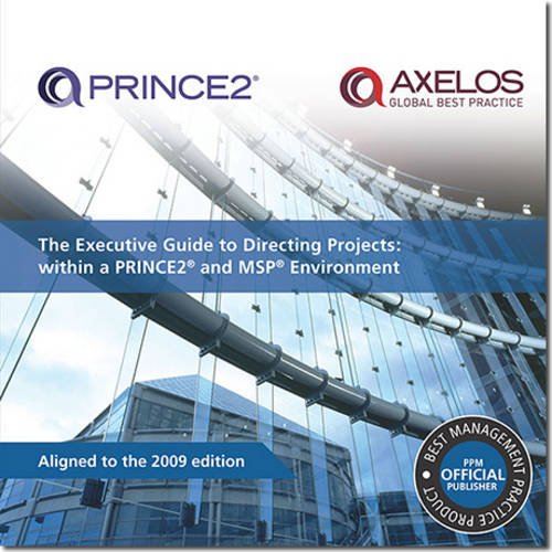 9780113311897: The executive guide to directing projects: within a PRINCE2 and MSP environment