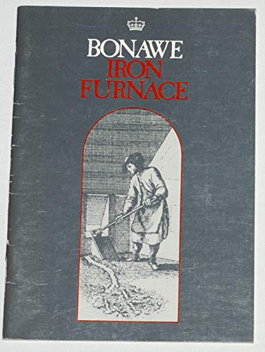 9780114923501: Bonawe Iron Furnace (Historic Scotland)