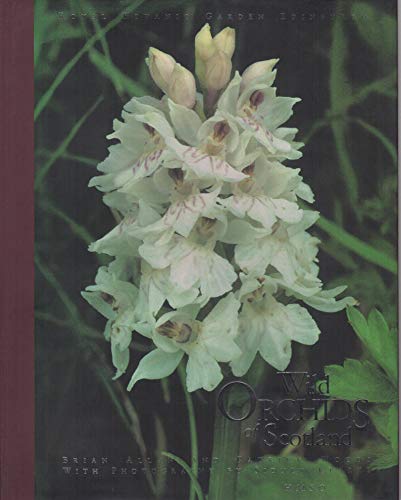 9780114942465: Wild Orchids of Scotland