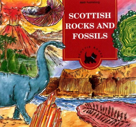 Stock image for Scottish Rocks and Fossils for sale by Better World Books Ltd
