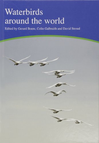 9780114973339: Waterbirds Around the World