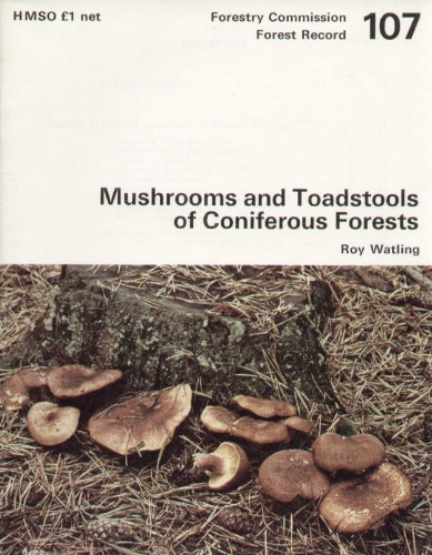 Imagen de archivo de Mushrooms and Toadstools of Coniferous Forests (Forestry Commission Forest Record 107) a la venta por The Mill Bookshop