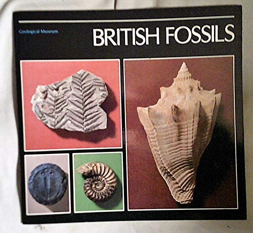 Stock image for British Fossils for sale by WorldofBooks