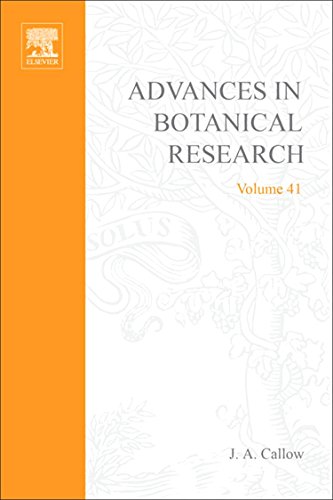 Stock image for Advances in Botanical Research, Vol. 41 for sale by Books Puddle