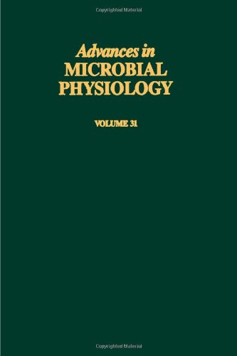 Stock image for ADV IN MICROBIAL PHYSIOLOGY VOL 31 APL, Volume 31 (Advances in Microbial Physiology) for sale by Phatpocket Limited