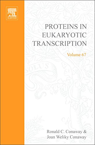 Stock image for Proteins in Eukaryotic Transcription: 67 (Advances in Protein Chemistry): Volume 67 for sale by Chiron Media