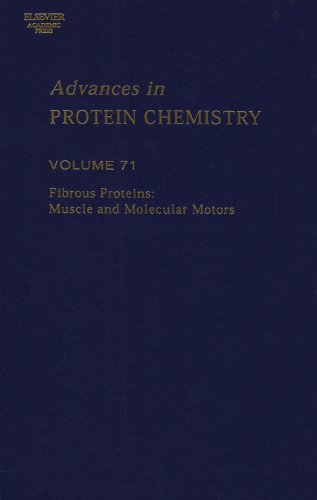 9780120342716: Fibrous Proteins: Muscle and Molecular Motors (Volume 71) (Advances in Protein Chemistry, Volume 71)