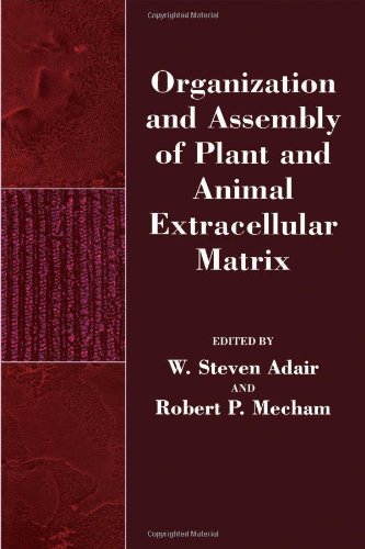 Beispielbild fr Organization and Assembly of Plant and Animal Extracellular Matrix.; (Biology of Extracellular Matrix) zum Verkauf von J. HOOD, BOOKSELLERS,    ABAA/ILAB