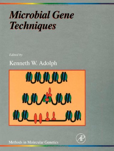 Stock image for Microbial Gene Techniques, Volume 6: Molecular Microbiology Techniques Part B (Methods in Molecular Genetics) for sale by Zubal-Books, Since 1961