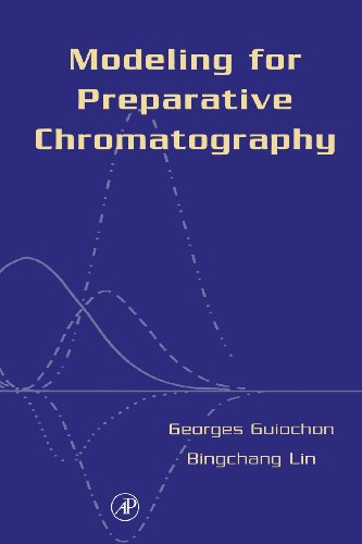 9780120449835: Modeling for Preparative Chromatography