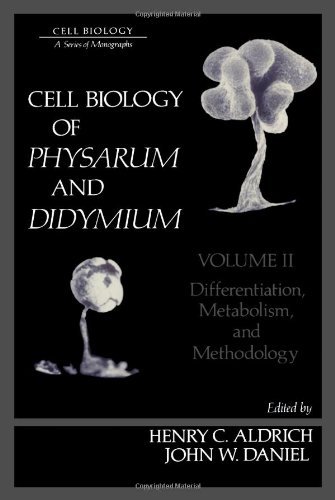 9780120496020: Differentiation, Metabolism and Methodology (v. 2) (Cell Biology of Physarum and Didymium)