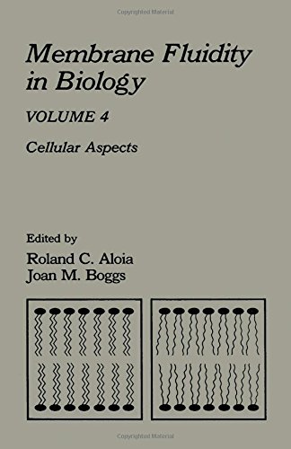 Stock image for Membrane Fluidity in Biology : Cellular Activities for sale by Better World Books Ltd
