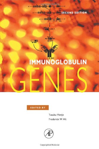 Imagen de archivo de Immunoglobulin Genes a la venta por Ammareal