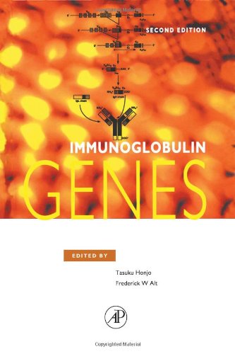 9780120536405: Immunoglobulin Genes