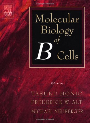 9780120536412: Molecular Biology of B Cells